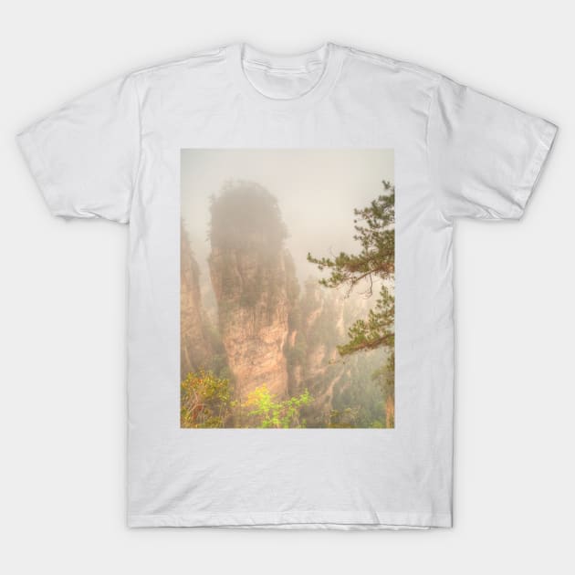 Zhangjiajie Pinnacles T-Shirt by Michaelm43